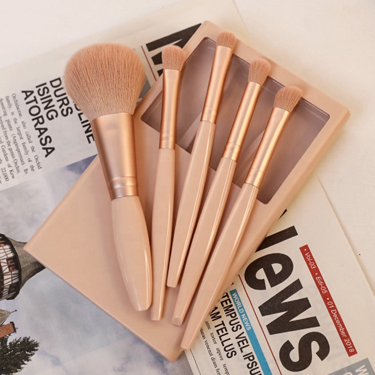 FYD Multifunctional Portable Beauty Tools 5pcs Cosmetic Brush Set with Mirror Powder and Blush Brush for Face Application