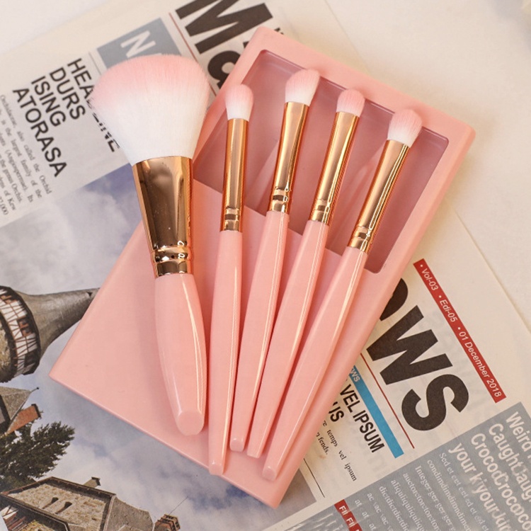 FYD Multifunctional Portable Beauty Tools 5pcs Cosmetic Brush Set with Mirror Powder and Blush Brush for Face Application