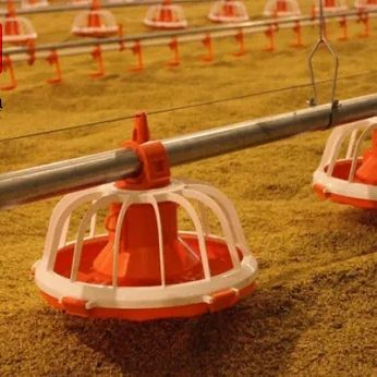 High-Efficiency Automatic Auger Feeding System for Broiler Farms