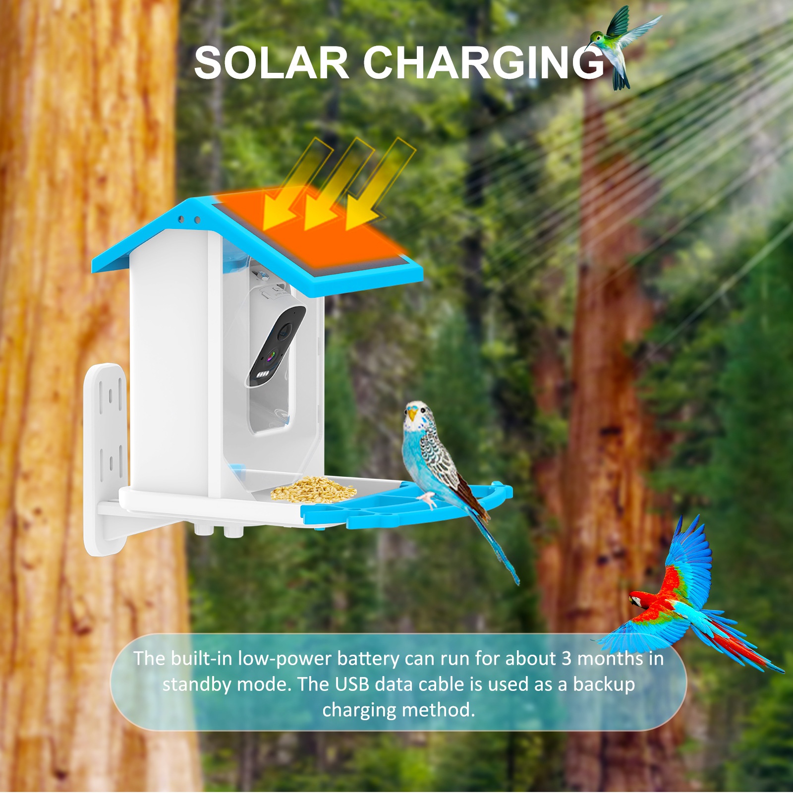 Network Camera Smart Bird Feeder AI Recognition for 10k Species Detachable Design Tuya/Tirs Home App Support Source Factory