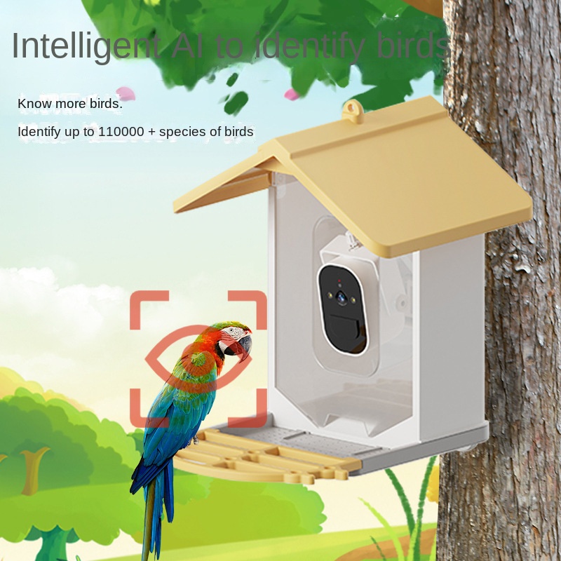 Intelligent Bird Feeder Display 2