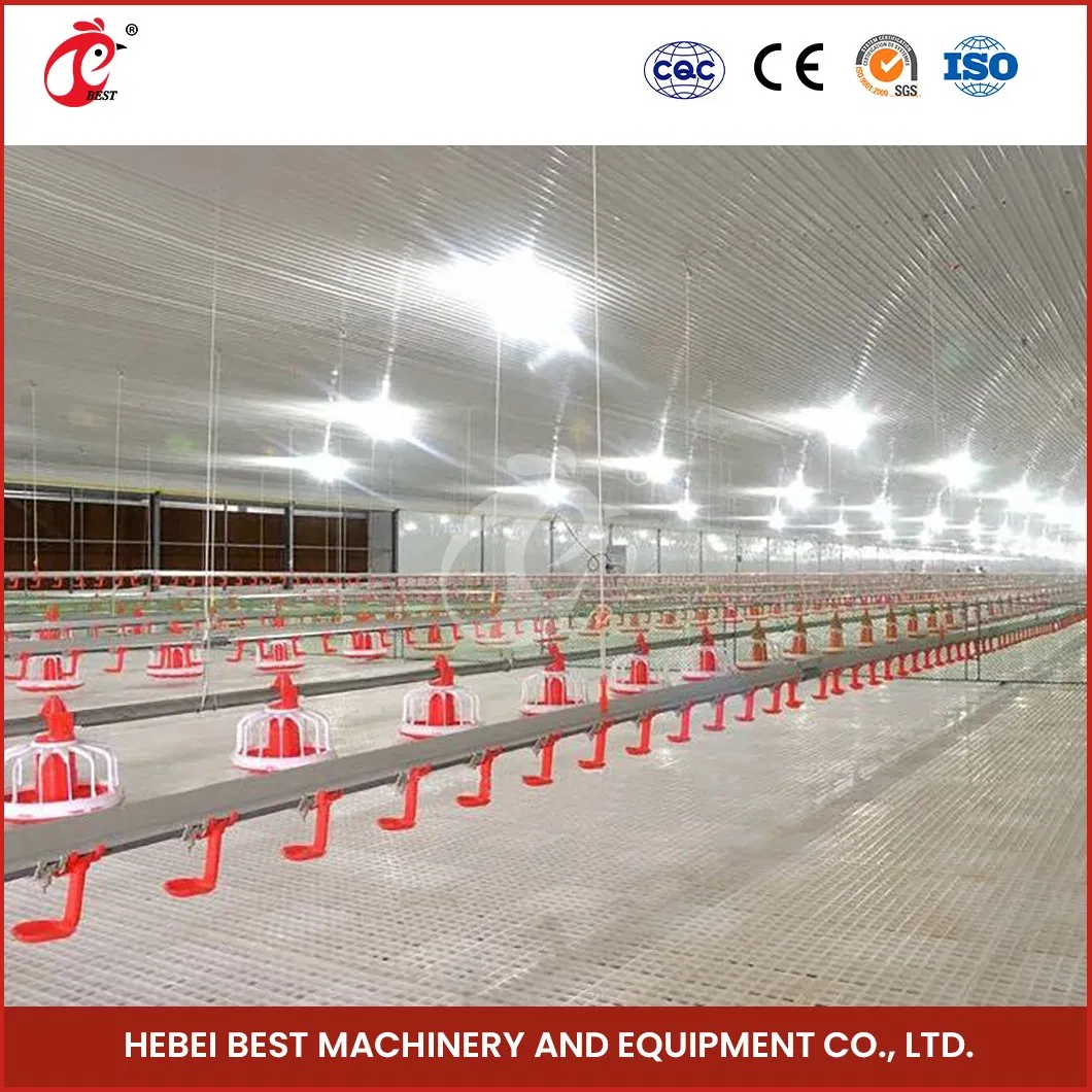 Bestchickencage Broiler Deep Litter System OEM Custom China Automatic Feeding Broiler Flooring Deep Litter System Suppliers