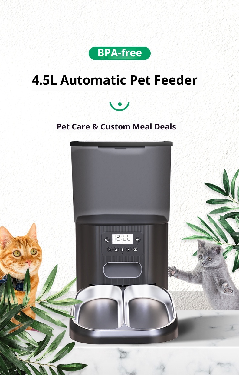 Smart Pet Feeder Display 2
