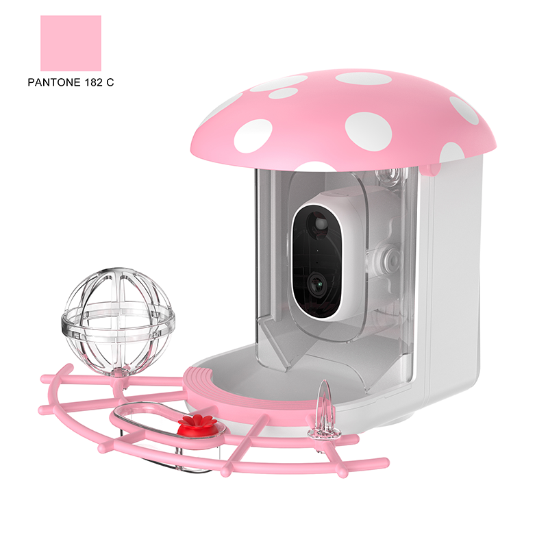 Product Details 4