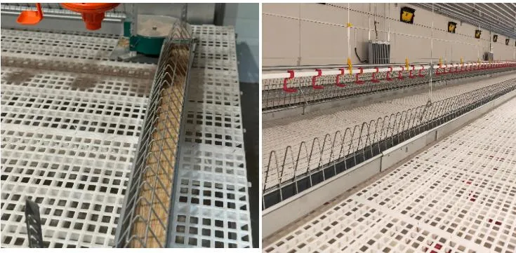 Adjusting plate and feed trough