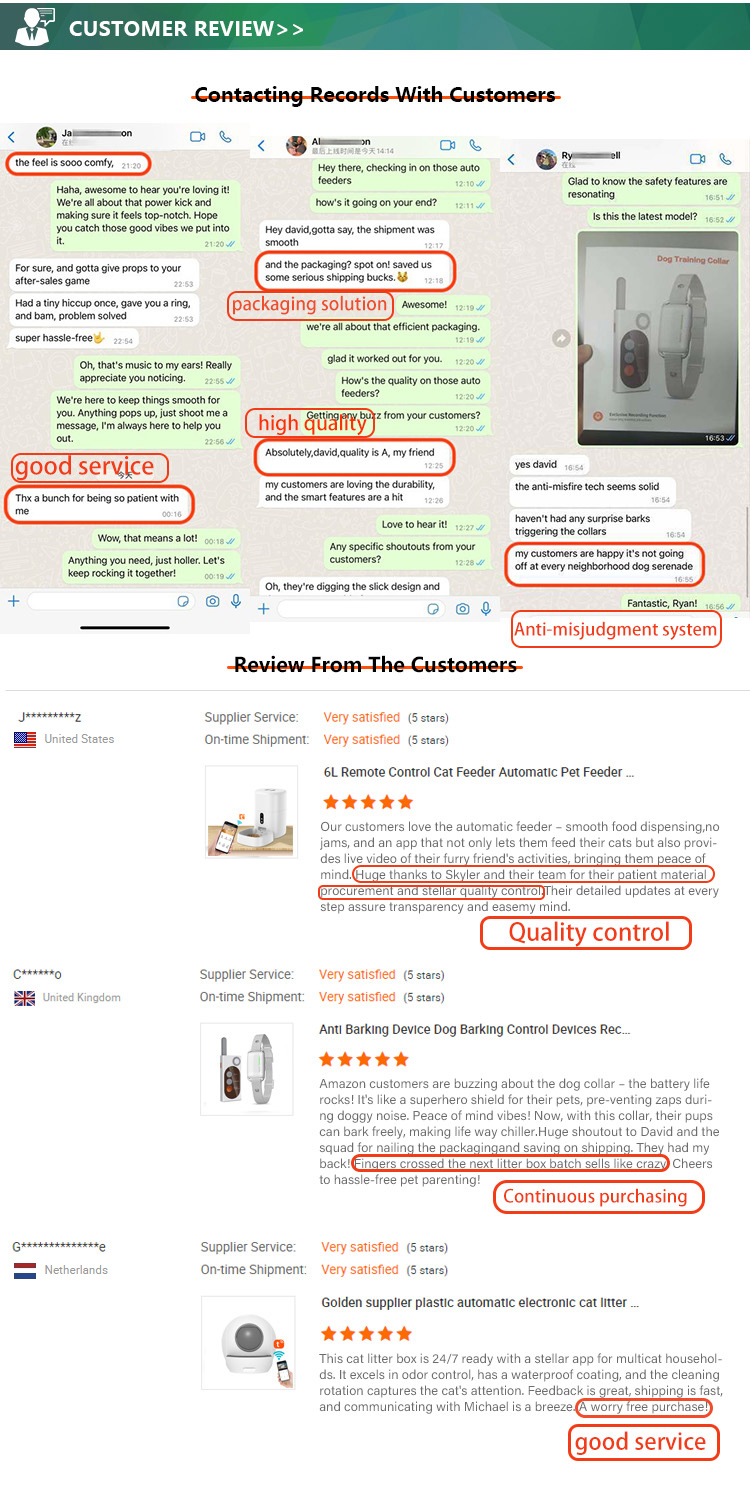Client Feedback and Reviews