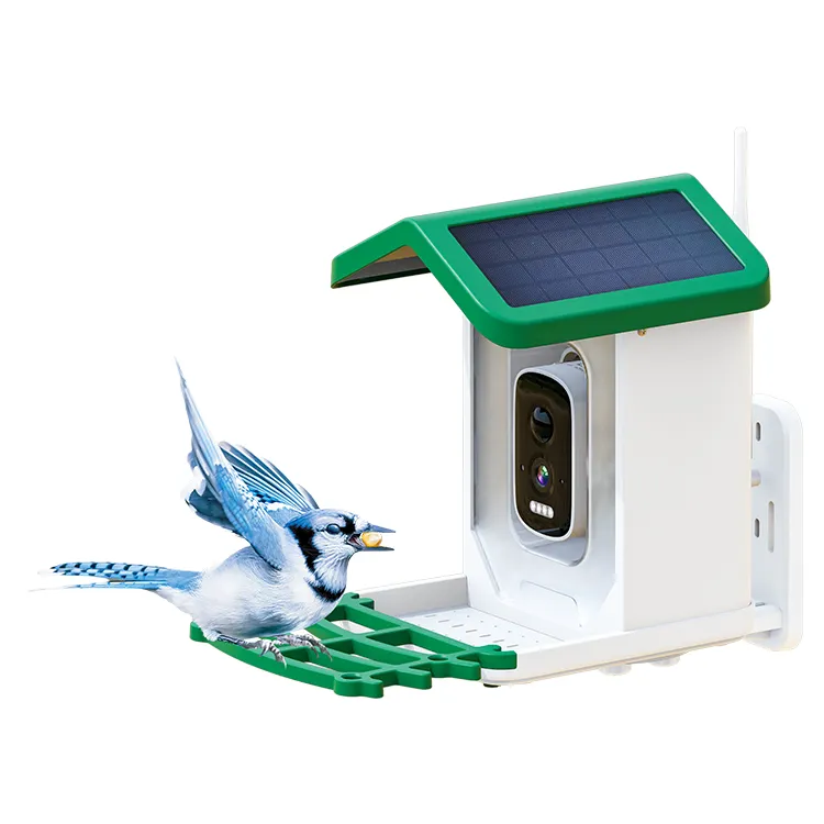 Wildlife Monitoring Solar Camera Remote View AI Smart Bird Feeder With Camera