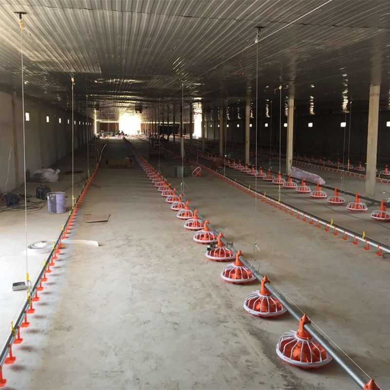 Zambia Broiler Farming Slatted Floor System with Automatic Feeding Pans &amp; Automatic Nipple Drinker