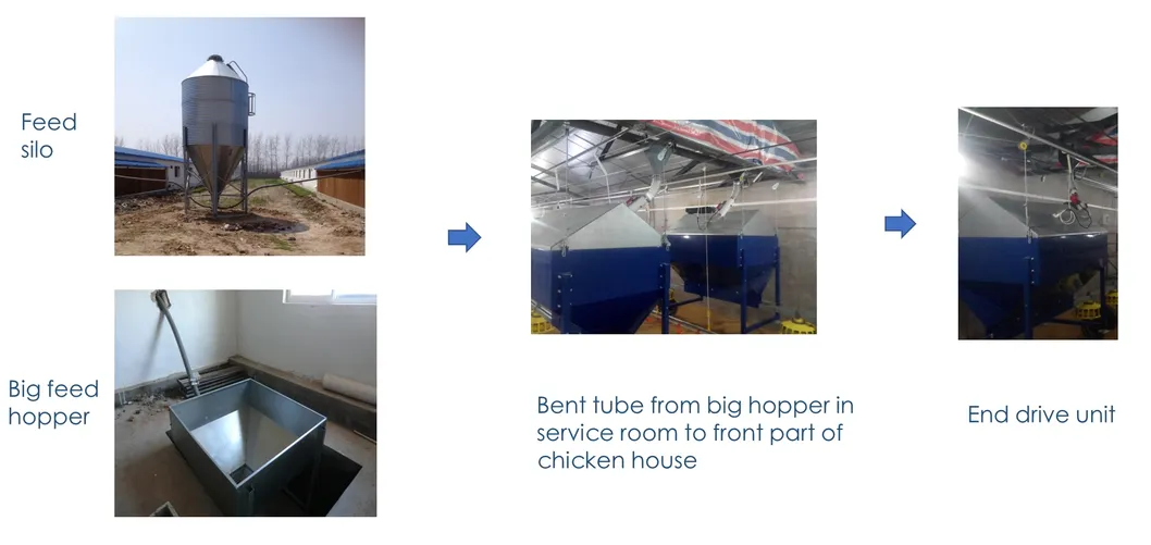 Breeder Pan Feeding System