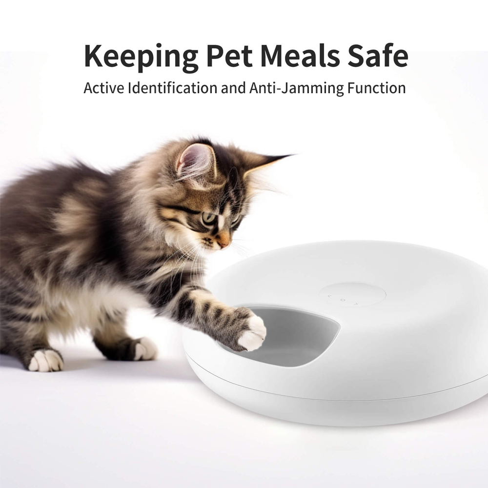 Automatic Smart WIFI Pet Feeder for Dry/Wet Food with Smart Timer Portable Modern Stylish Design for Cats &amp; Small/Medium Dogs