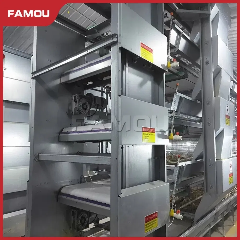 Automatic Poultry Equipment H Ladder Type Poultry Chain Trolley Feeding Silo System