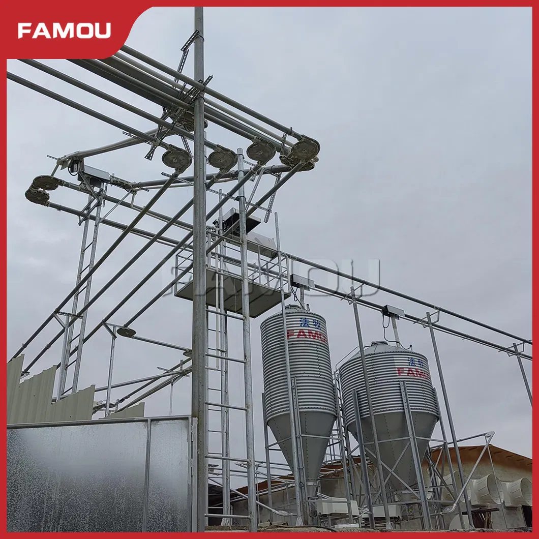 Feeding system details 1