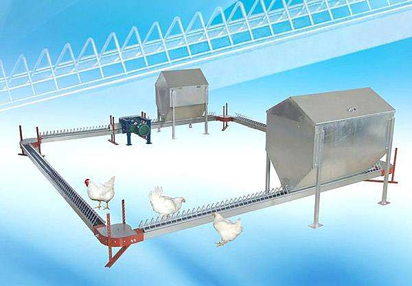 Chain Feeding Machine (Lifting Type) Flat Chain Feeding System in Breeder House