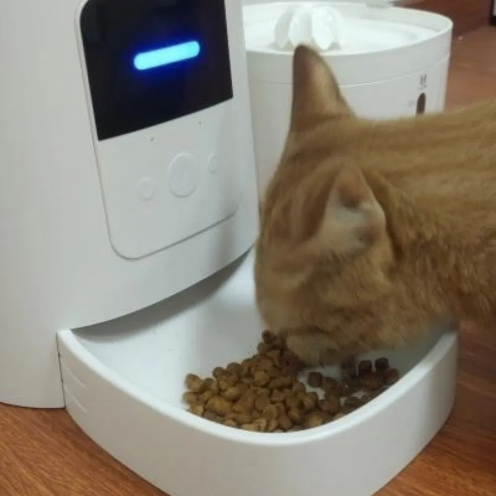 Real-Time Treat Dispensing Smart Pet Feeder for Multi-Pet Households
