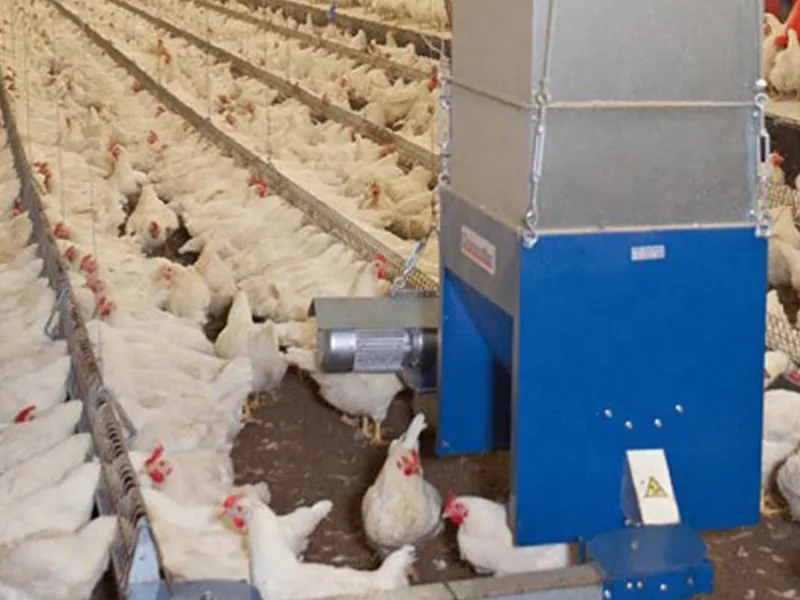 Chain Feeding Line System