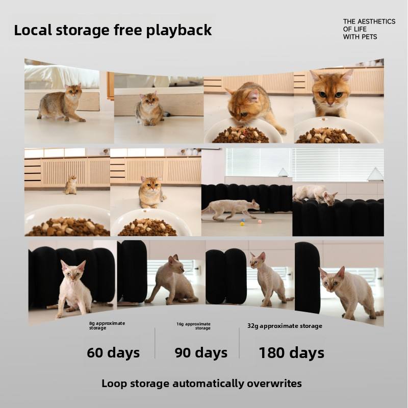 Smart Automatic Pet Feeder with Camera App Control Timed Portion Dispenser Cats/Dogs Egg-Roll Design Porcelain Bowl
