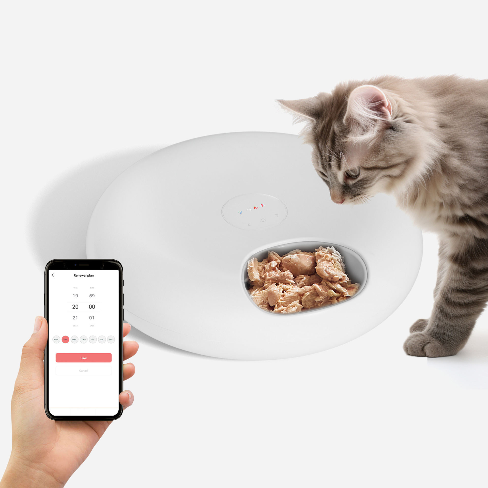 Programmable Automatic Wet Food Cat Feeder 5 Meals Refrigerated Design Semiconductor Temperature Control Feeder