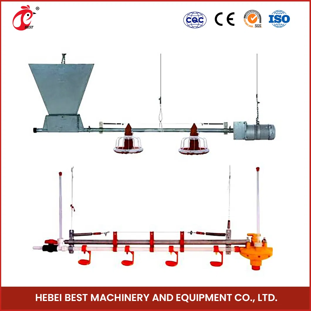 Bestchickencage Broiler Deep Litter System OEM Custom China Automatic Feeding Broiler Flooring Deep Litter System Suppliers