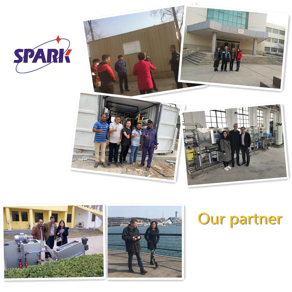 Wastewater Treatment Auto Chemical Feeding System Equipment/Plant Used in Sewage Treatment ETP Plant