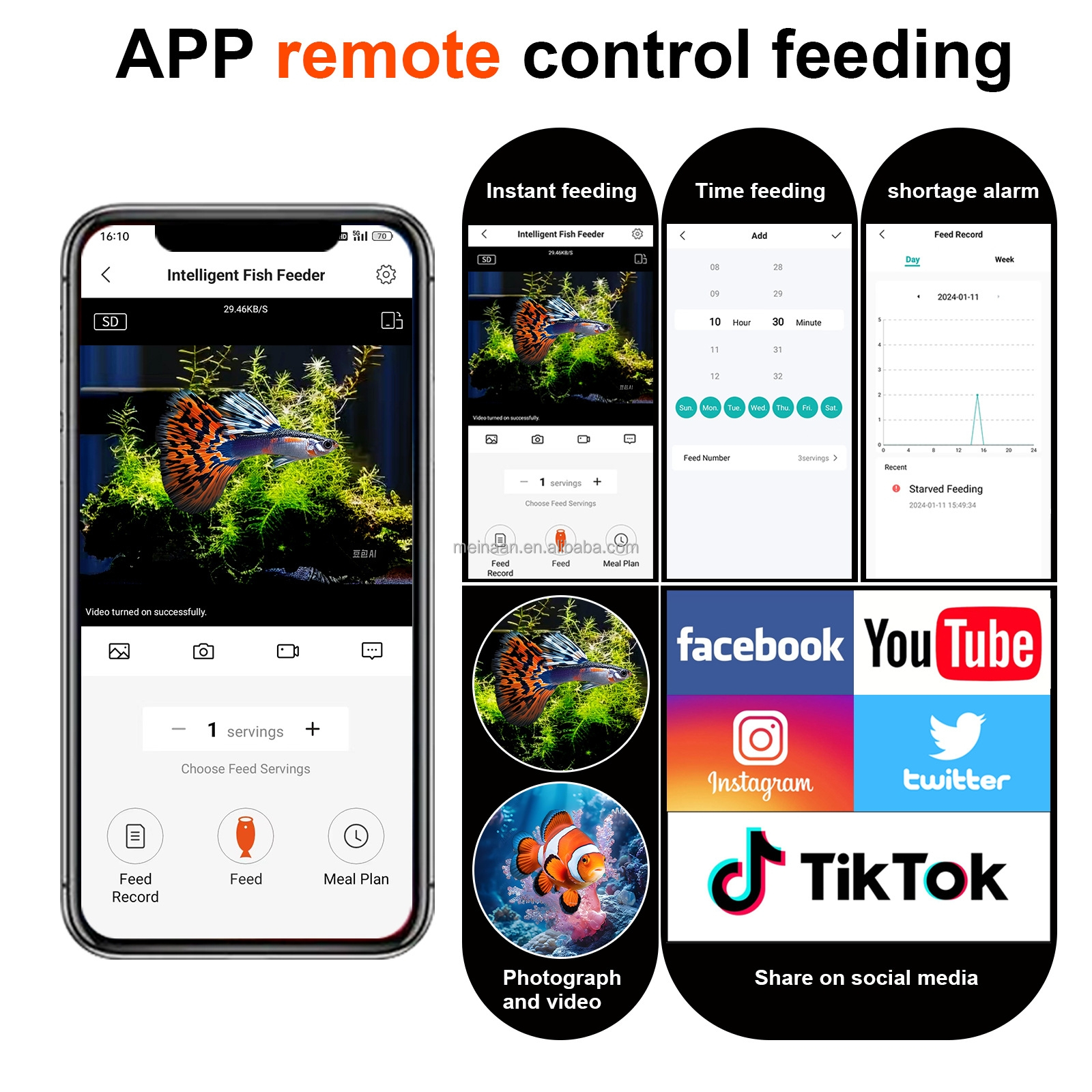 New Trend 4MP 2K HD Night Vision Time Feeding Camera 2.4G 5G Dual Band WiFi Visual Fish Feeder Camera
