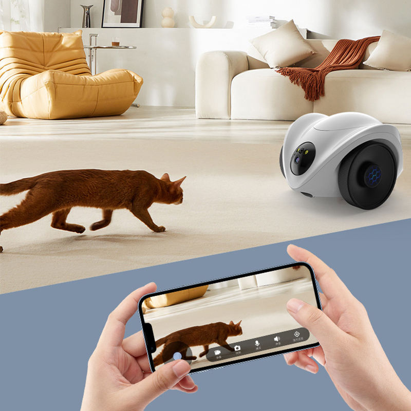 Smart Eco-Friendly Plastic Feeding &amp; Monitoring Combo Robot with Scheduling Portion Control Live Video for Pet Diet Management