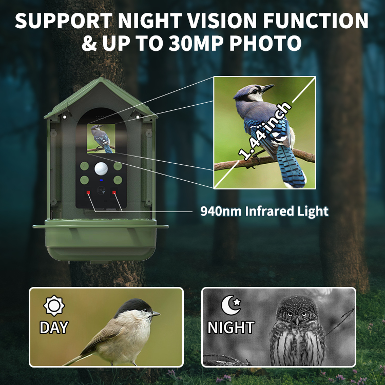 Bird Feeder Camera Detailed View 6