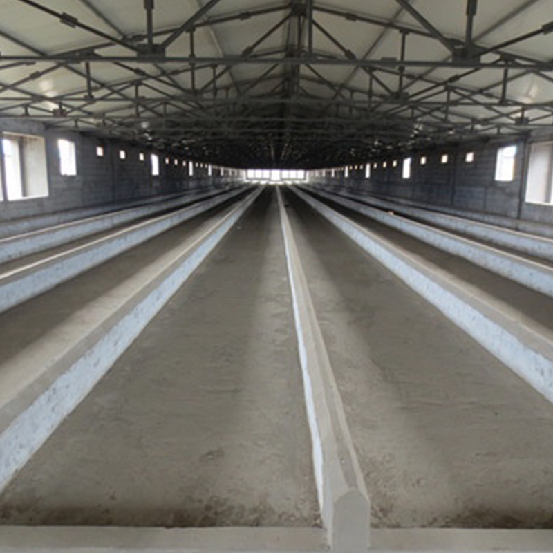 Broiler Floor Farming System with Auto Feeding Manure Removal