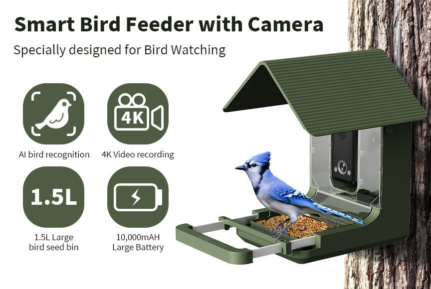 Bird Feeder Banner