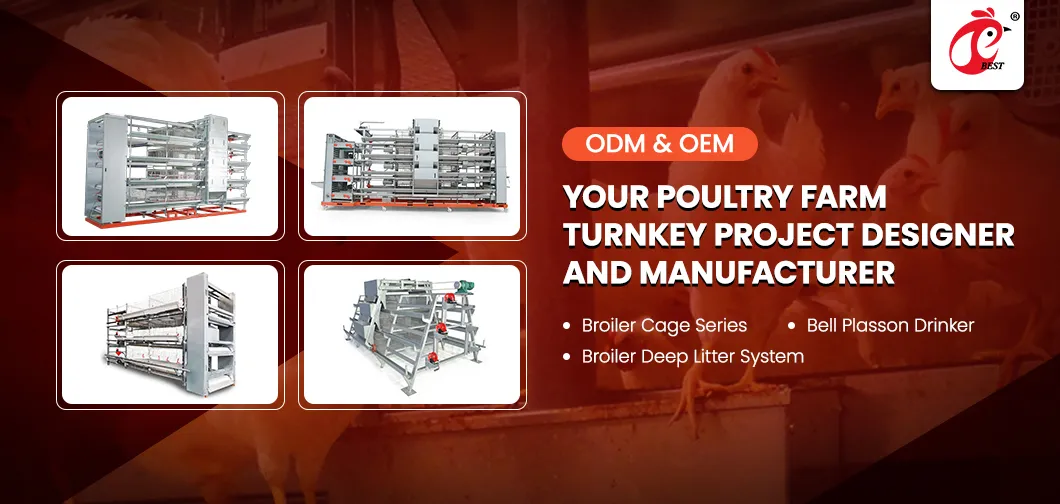 Broiler Deep Litter System