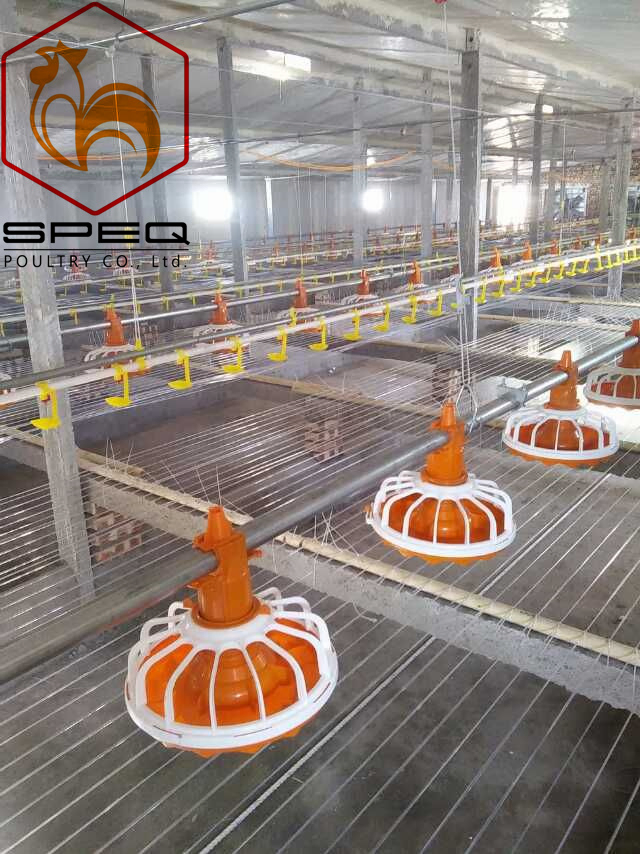 High-Efficiency Automatic Auger Feeding System for Broiler Farms