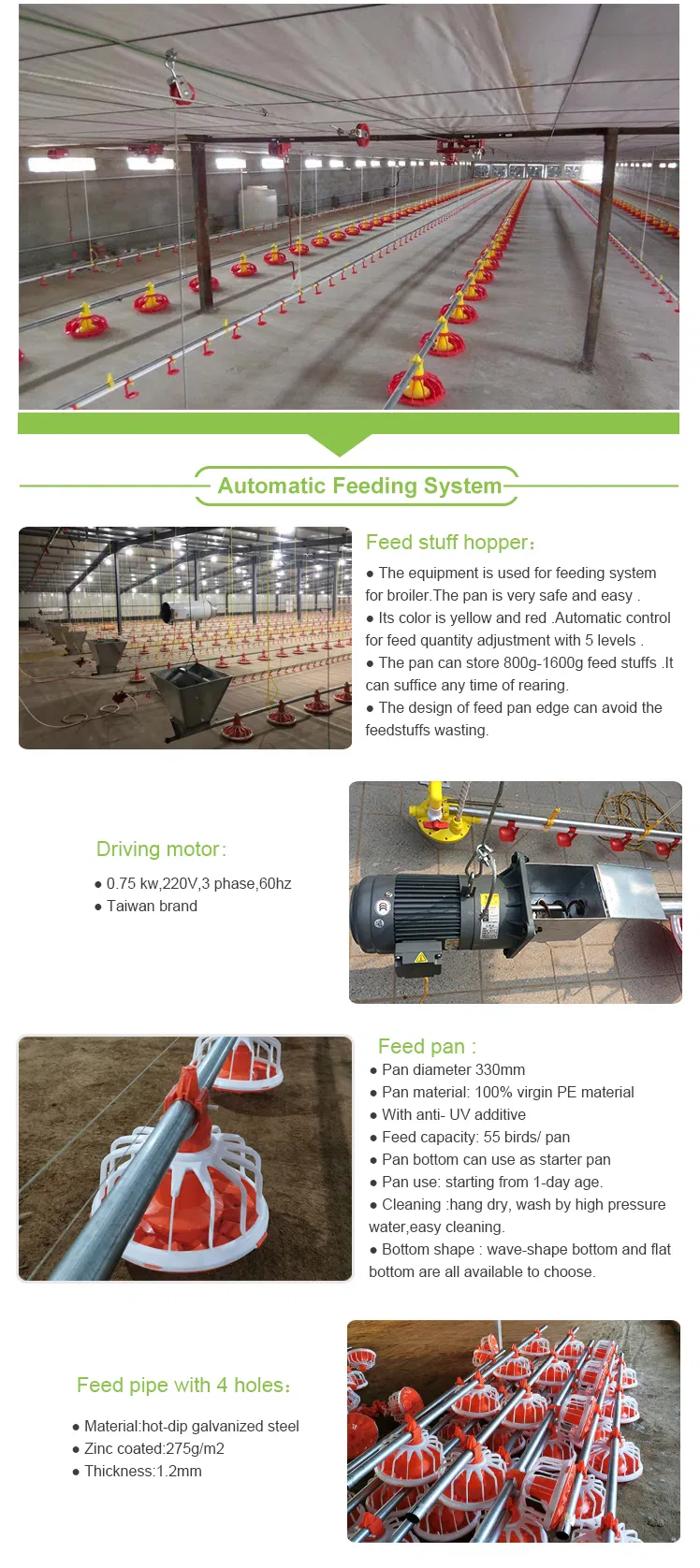 Low Price Poultry Ground Floor Raising Equipment For Broilers With Automatic Feeding System