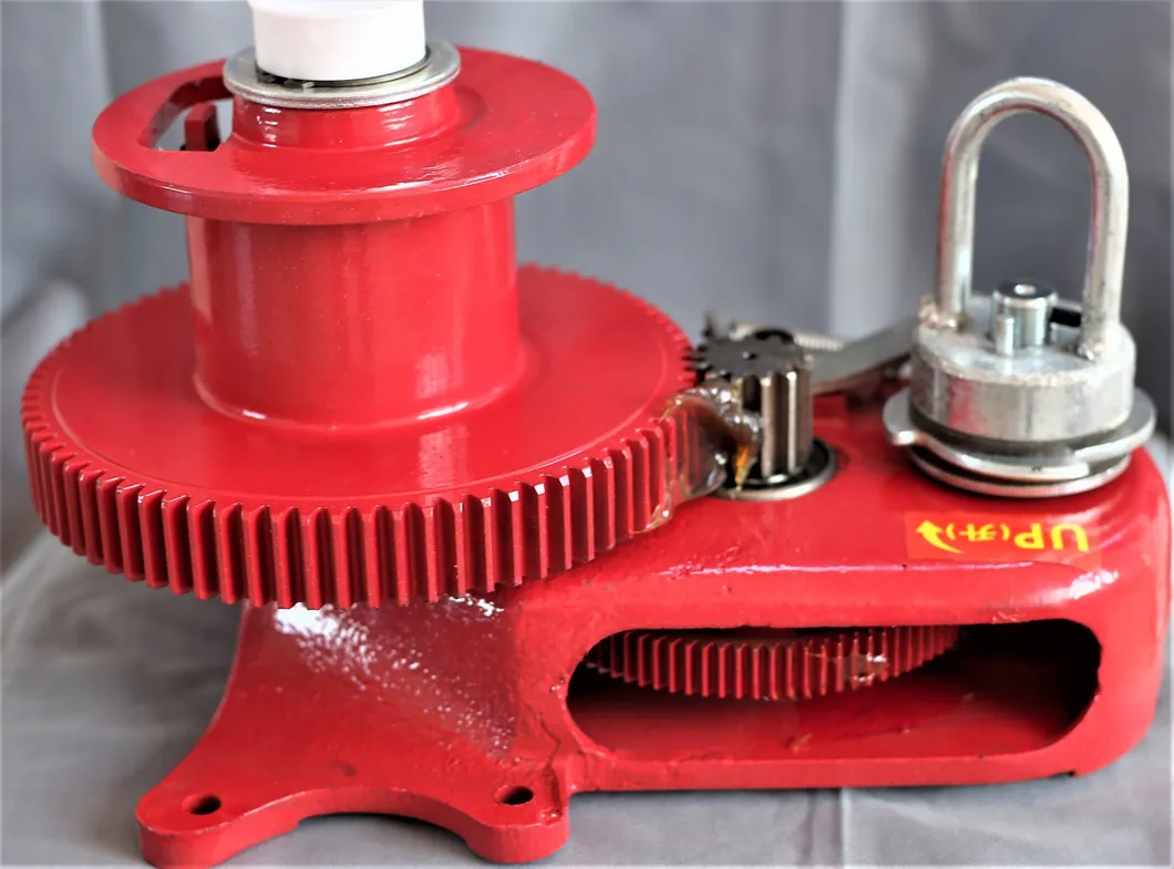 High-Efficiency Automatic Auger Feeding System for Broiler Farms