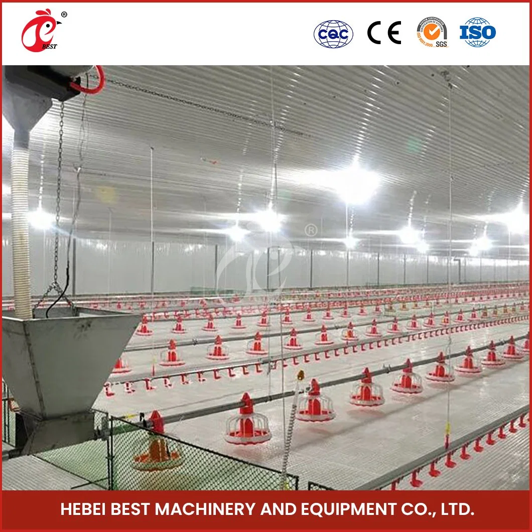 Bestchickencage Broiler Deep Litter System OEM Custom China Automatic Feeding Broiler Flooring Deep Litter System Suppliers
