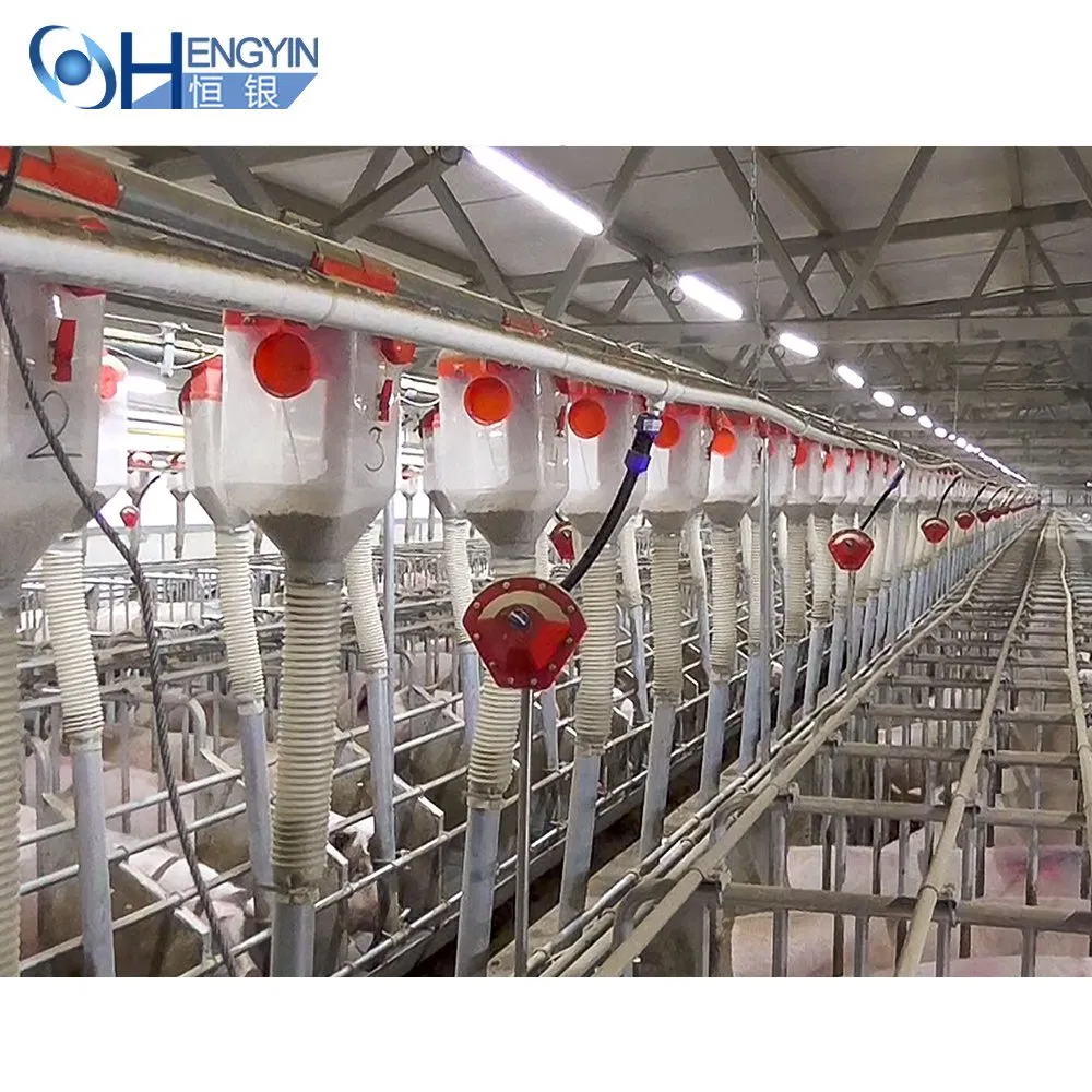 High Efficiency Equipment Automatic Pig Feeding System