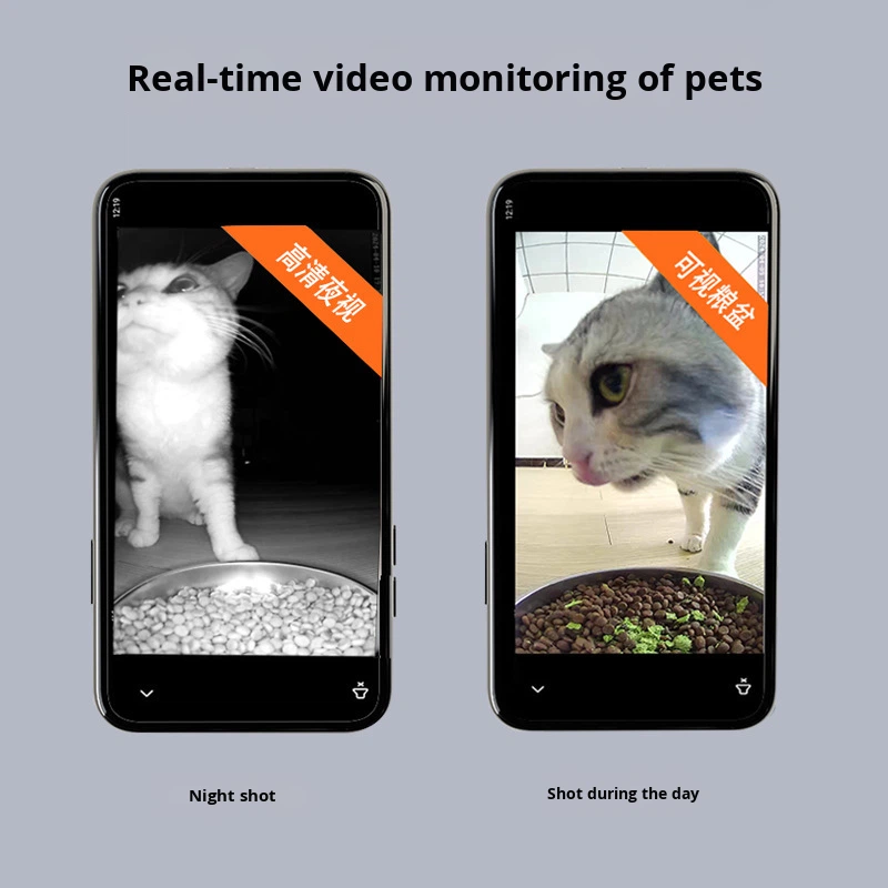 Pet Product 1