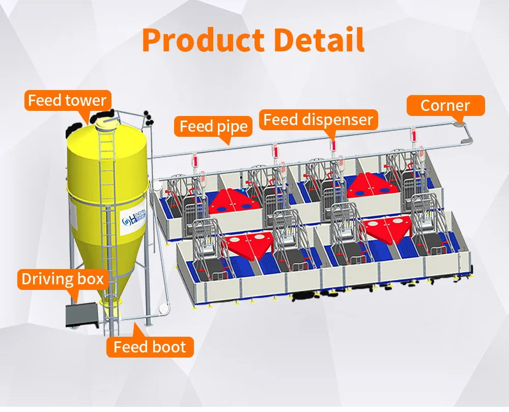 High Efficiency Equipment Automatic Pig Feeding System