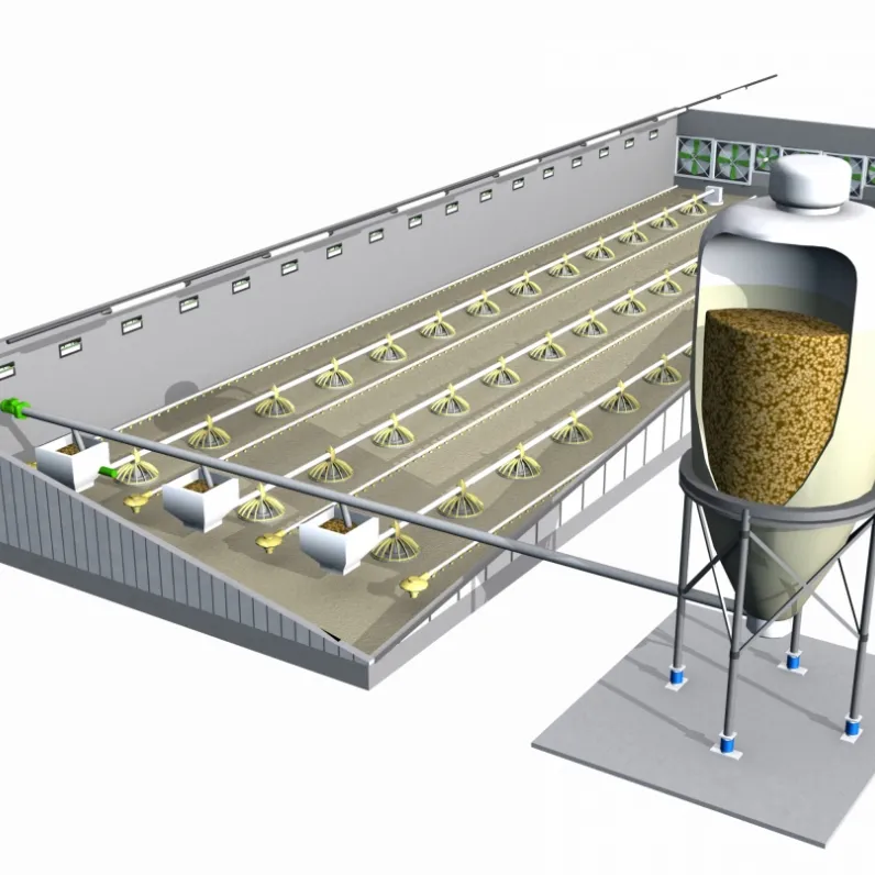 Broiler Floor Farming System with Auto Feeding Manure Removal