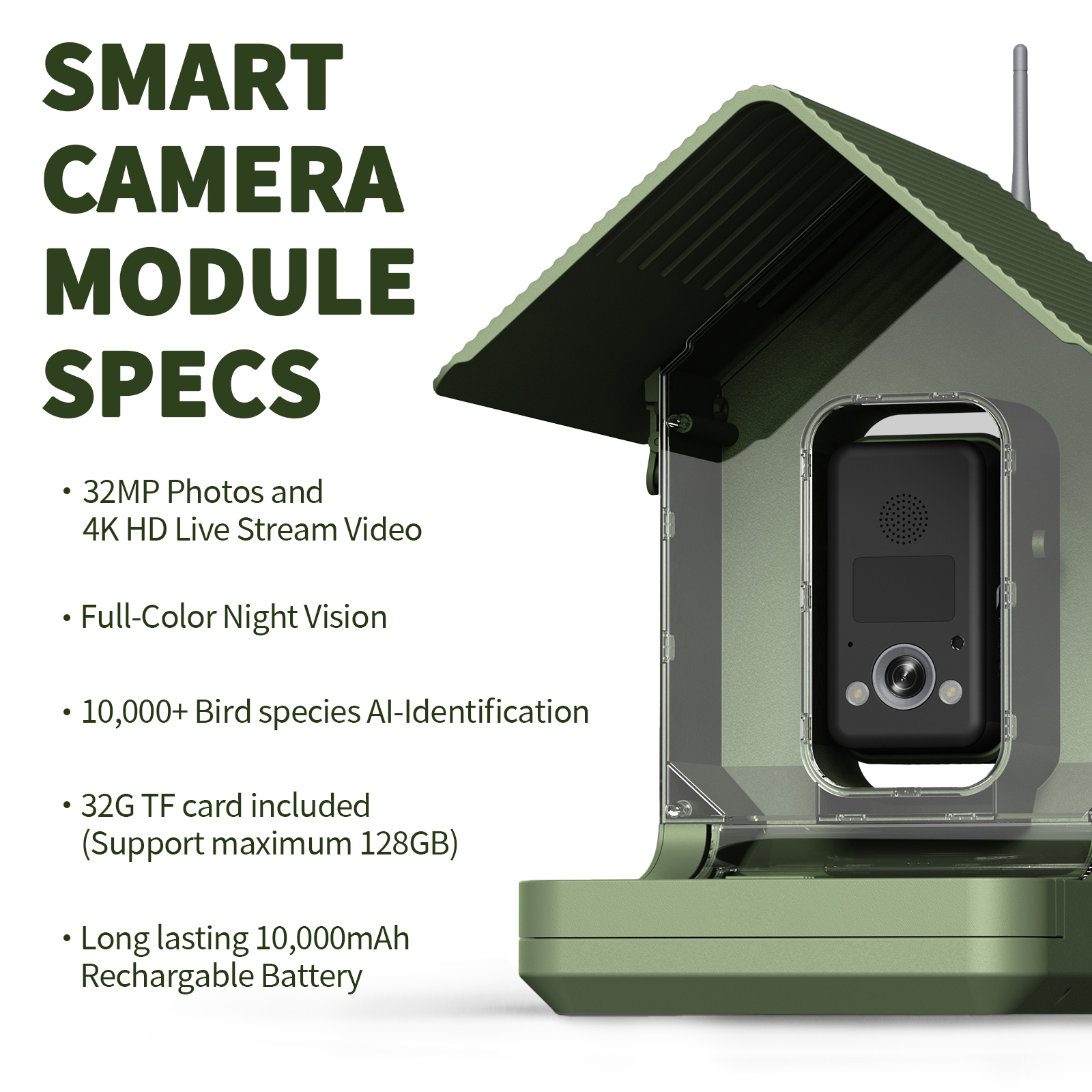 Willfine 4K AI Bird Feeder Camera Bird Species AI Identification IP66 Waterproof Live Stream WIFI Remote Control OEM ODM