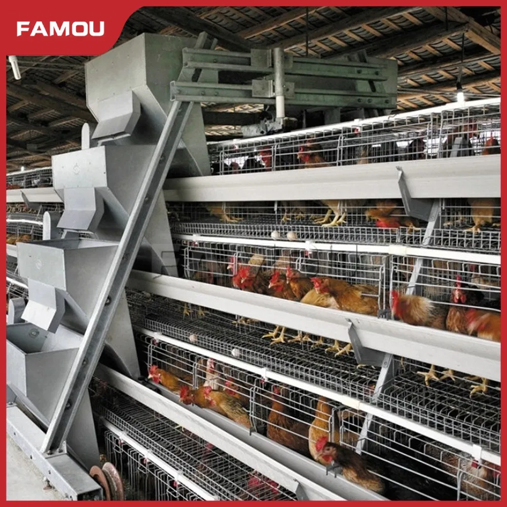 Automatic Poultry Equipment H Ladder Type Poultry Chain Trolley Feeding Silo System