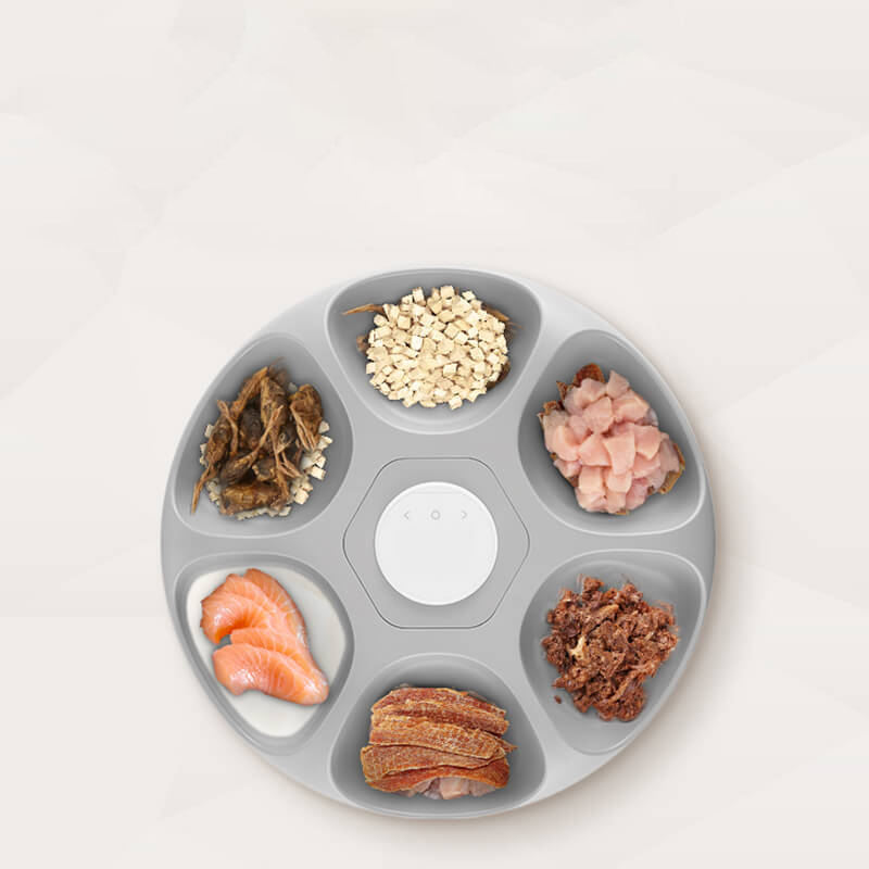 Programmable Automatic Wet Food Cat Feeder 5 Meals Refrigerated Design Semiconductor Temperature Control Feeder