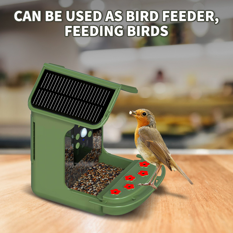 Bird Feeder Camera Detailed View 8