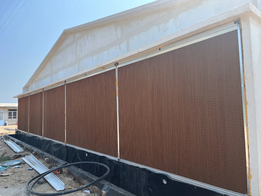 Automated Poultry Farming Feeding System with 14 Cells Stainless Steel