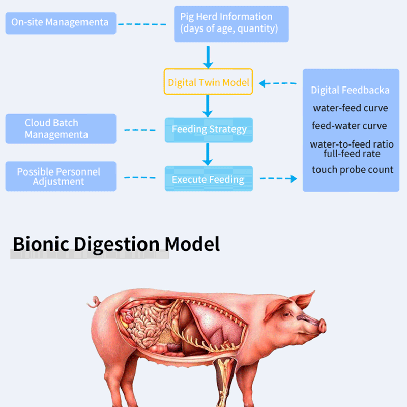 Smart Pig Feeder Intelligent Automatic Swine Feeding System With App Remote Control &amp; Data Analysis For Pig Farm