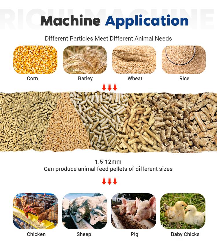 Feed Pellet Plant Component 1