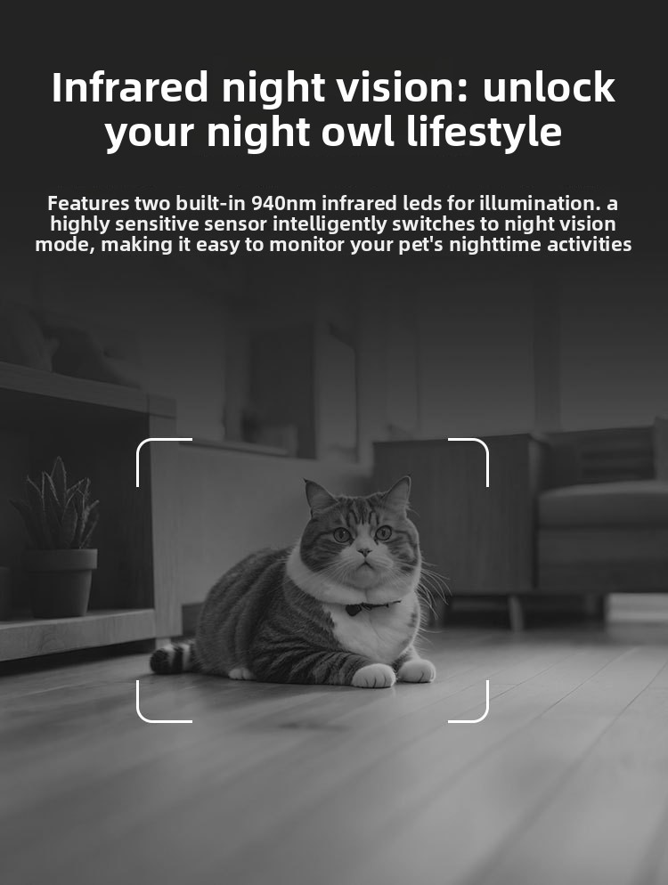 Smart Pet Feeder Voice Control