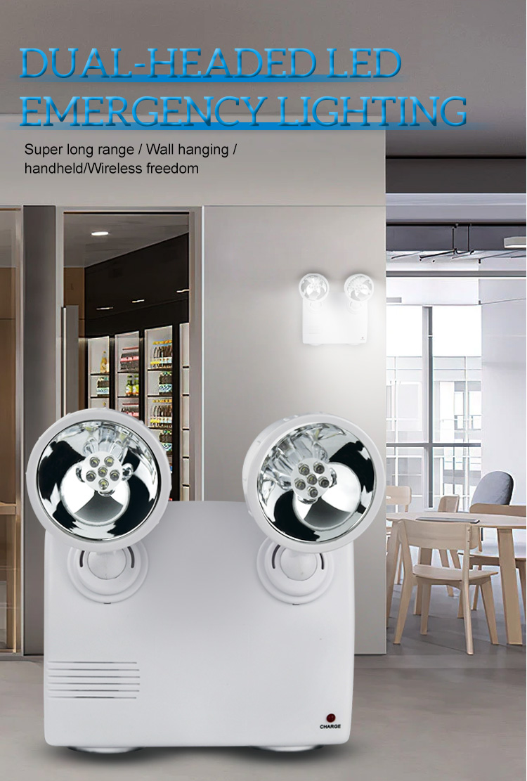 Emergency Light Detail 1