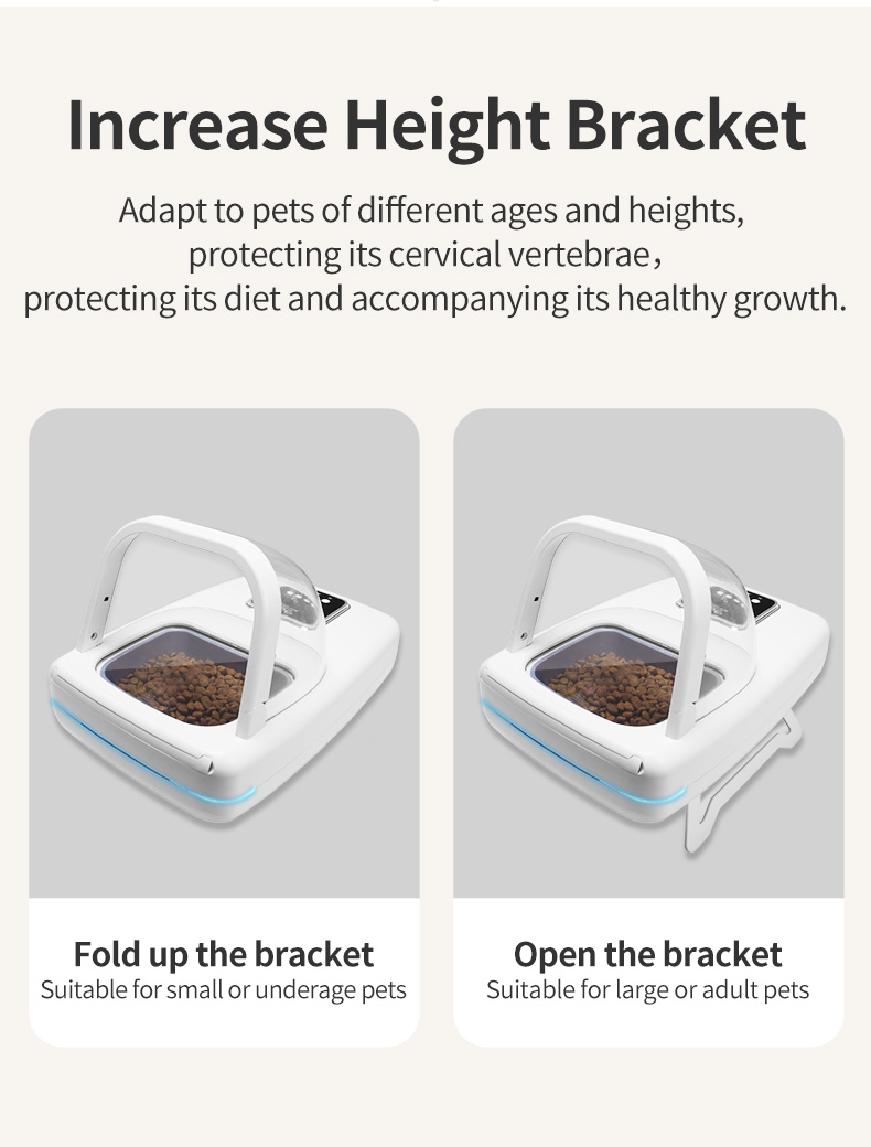 Multi Cat Feeder