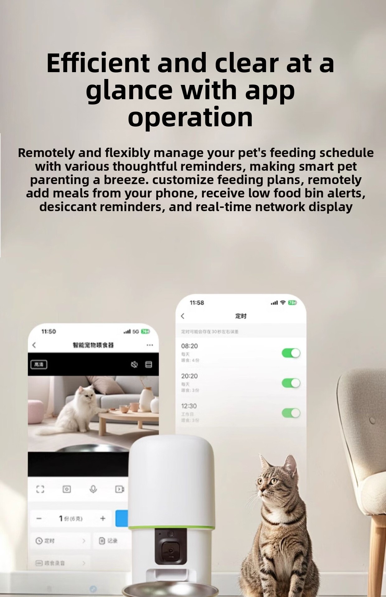 Product Showcase 16