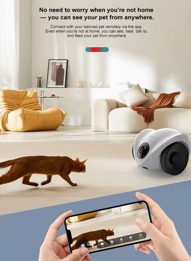 Smart pet feeder scene application
