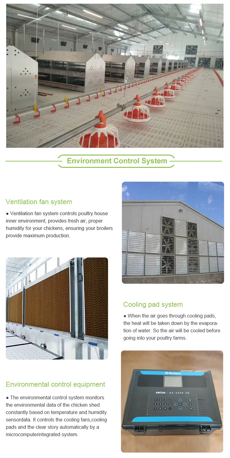 Low Price Poultry Ground Floor Raising Equipment For Broilers With Automatic Feeding System